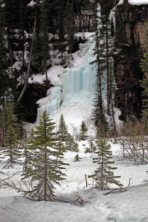 Frozen Waterfall Lake Louise